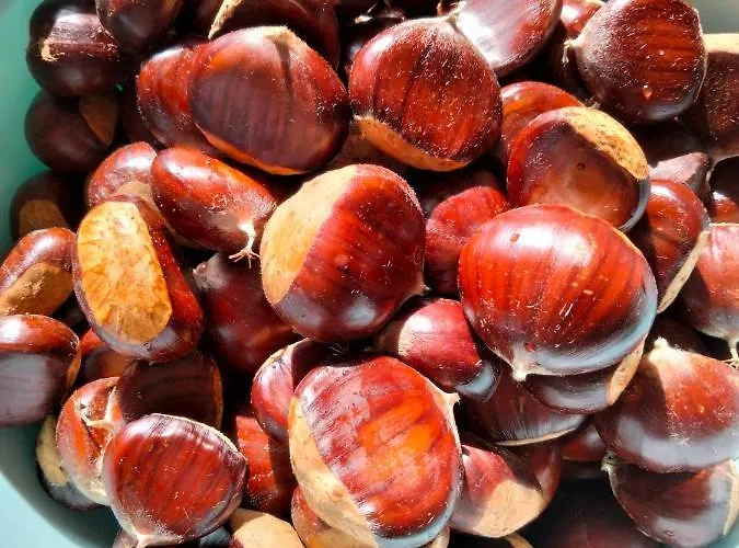 Appartement Azzurro *